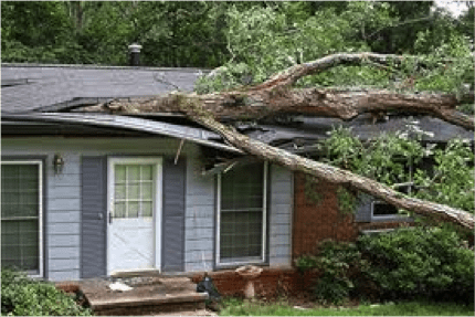 photo of storm related damage